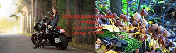 спиды Нязепетровск