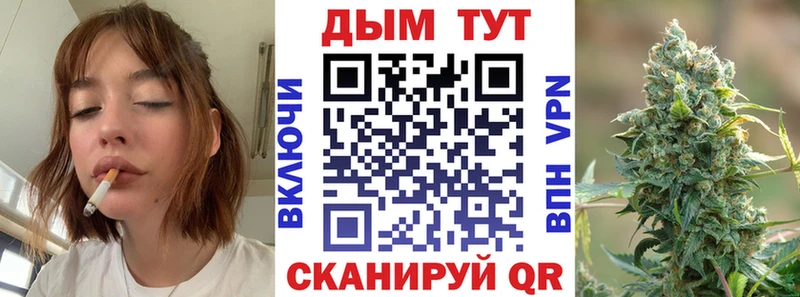 продажа наркотиков  Тольятти  Канабис OG Kush 